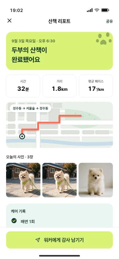 김PM이 검수 완료한 산책 리포트 화면